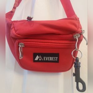 Everest hip bad